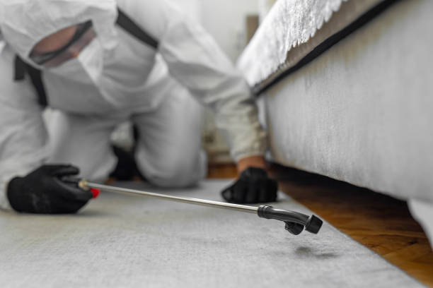 Professional Pest Control technician working in Gwinnett County County, GA